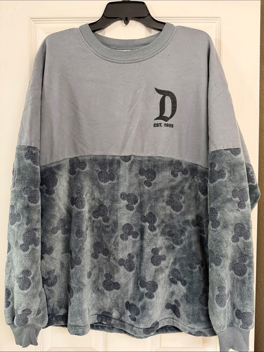 Disneyland Gray Plush-Panel spirit jersey